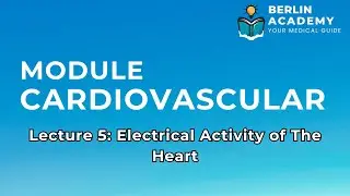 CVS Physiology: Electrical Activity of Cardiac Muscle