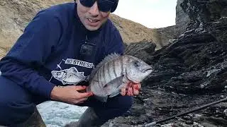 comment pêcher facilement des poissons en mer du bord