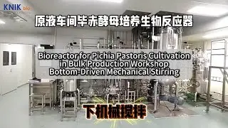 Bioreactor for Pichia Pastoris Cultivation in Bulk Production &ndash; Bottom-Driven Mechanical Stirring