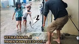 Harvest catfish‼️fishing in the gutter in front of the house when it floods