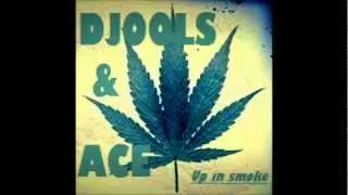 Djools & Ace - I f*** the sheriff