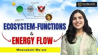 Ecosystem-Functions & Energy Flow || Environment & Ecology Series || Meenakshi Ma'am || #tathastuics