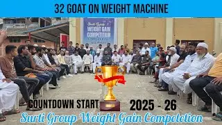 SURTI GROUP WEIGHT GAIN COMPETITION | SURAT | ALL GUJARAT | 32 GOAT ON WEIGHT MACHINE