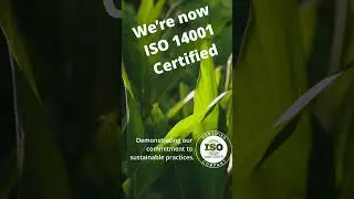 We&rsquo;re Now ISO 14001 Certified &ndash; Committed to Sustainability 🌱