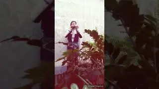 #372 #iRinaXodus #школа #цветы #гармонияжизни #ownmusic #гармоника