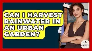 Can I Harvest Rainwater In An Urban Garden? - Minimalist Home Life