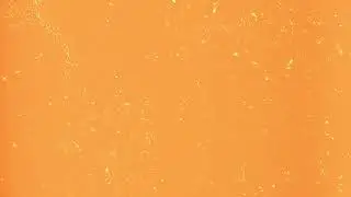 Light Leaks on Film    1080p, h264, youtube