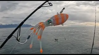 Kaikoura fishing trip.