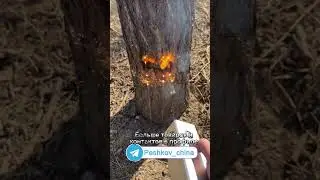 Мощная лазерная указка. #бизнесскитаем #идеидлябизнеса