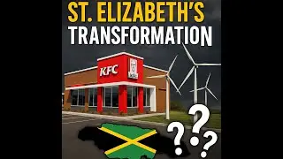 St  Elizabeth's Transformation  Development, Investment, and Scrutiny