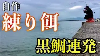 【チヌ・黒鯛釣り】自作練り餌でチヌ爆釣！？♯8【宮崎県】【堤防】【ふかせ釣り】