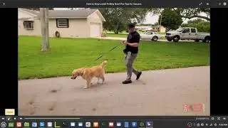 @AmericanStandardK9 Garret Wing. Put That Prong Around Your Neck And Give Me The Leash.
