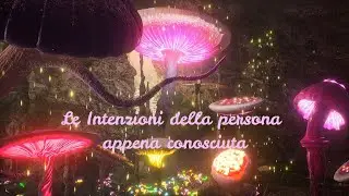 LE FATE HANNO QUALCOSA DA DIRTI