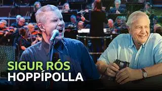 Sigur Rós - Hoppípolla | David Attenborough’s 100 Years on Planet Earth