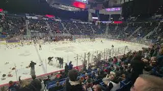 Hartford Wolfpack Teddy Bear Toss Goal (12/10/22)