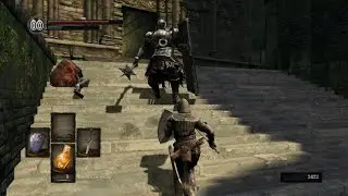 DARK SOULS: Berenike Knight