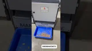 Supari Cutting Machine | Betal Nut Cutting Machine | new machine #ytshorts #youtubeshorts #home
