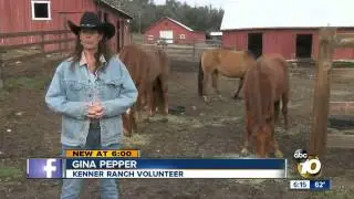 2 horses stolen from Julian ranch