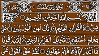 Surah Yaseen 3 Times Recitation | Episode 130 | Beautiful Quran Tilawat | Heart Touching Voice
