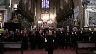 Chór Basilica Cantans - 