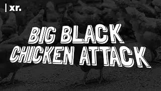 Wawlrus - Big Black Chicken Attack [Official Music Video]