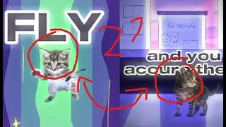 PASSING THROUGH X ANOTHER YEAR [stock dancing 2 pt 2]