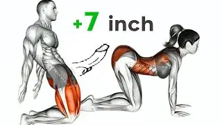 Kegel Exercises for Men 💪 | Forge Diamond Endurance & Command Total Control +6 Inch Growth Rock Hard