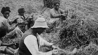 The Nation's Once-Broken Promise Over Land