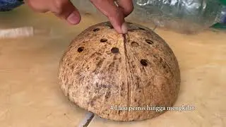 How To Make Lamp From Coconut Shell #tugasprakarya 