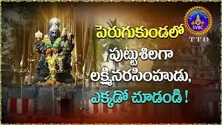పెరుగుకుండలో పుట్టుశిలగా లక్ష్మీనరసింహుడు, ఎక్కడో చూడండి ! || SVBC TTD