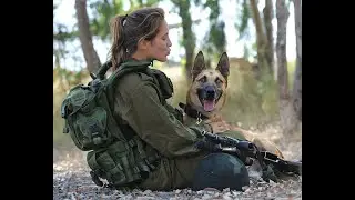 Dogs with jobs. IDF Oketz canine unit's work in Gaza footage