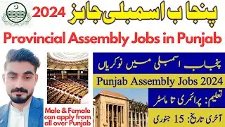 Punjab Assembly Jobs 2024 / Latest Provincial Assembly Jobs in Punjab for Male & Female / Govt Jobs