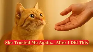 How to Rebuild Your Cat&rsquo;s Trust &ndash; The Science Hidden in Their Litter Box With Indoor Cat