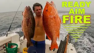 Использую подводное ружье для охоты на рыбу &mdash; Snapper City