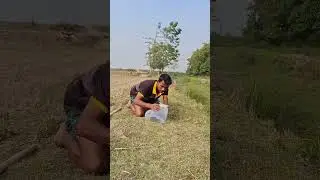 #short#funny#polir bitor ki nore 😃🤔