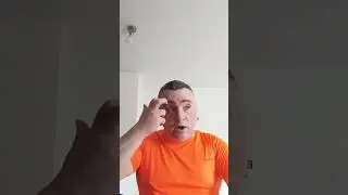 Politicke svine