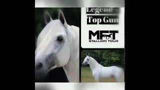 Legend's Top Gun