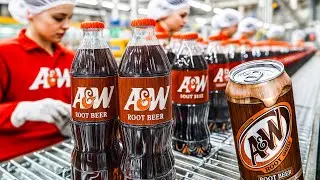 How Root Beer Is Made &ndash; Massive Billion Gallons of Root Beer Processing In Factory