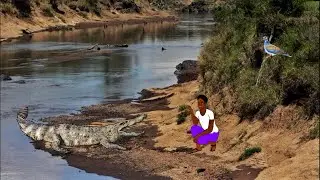La jeune femme, la tourterelle et le caïman  ou Le sourire du caïman. Conte africain.