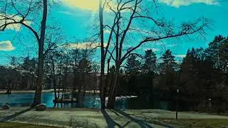 Summer Vibes in Norway|| Intro 🌞