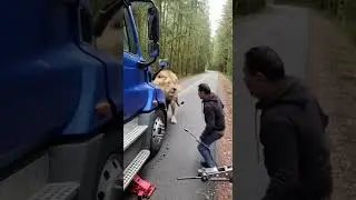 Brave Dog Saves Owner from Charging Lion! 🦁🐕
