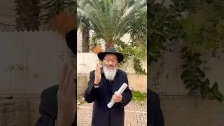 Как преодолеть принцип комара?