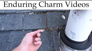 This Really Worked To End Lichen And Moss!
