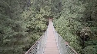 I Had The Whole Park To Myself