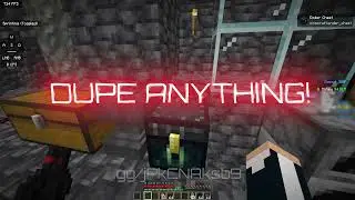 How to do an INSANE dupe on DONUTSMP! (WORKING)