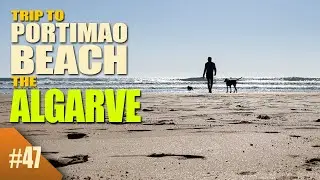 Clearing Up Dead Trees and a Trip To Portimão Beach in The Algarve/ Portugal #47