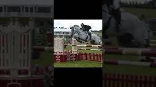 Hyper speed showjumping edit since y'all love my horse edits so much 💗