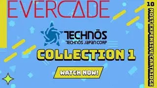 Evercade Technos Collection 1 - The Most Expensive Evercade Cartridge