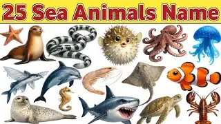 Top 25 Sea Animals Name | Sea Animals For Kids | समुद्री जीवों के नाम और जानकारी | Marine Animals