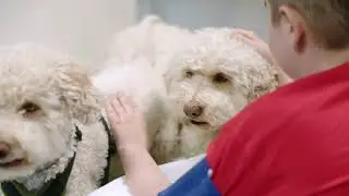 Amici a 4 zampe - pet therapy al Regina Margherita